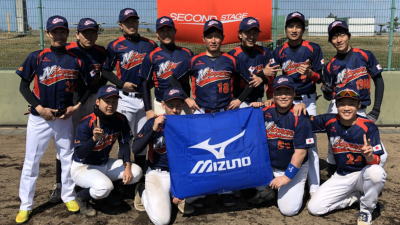 N-JAPAN
